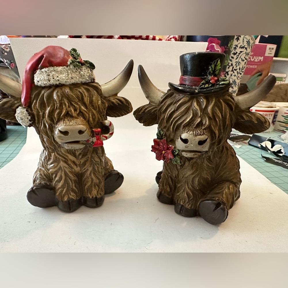 Viral Highland Cows